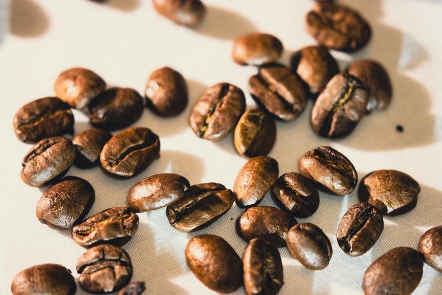 espresso beans vs coffee beans